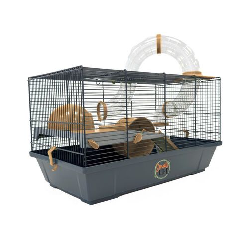 Kit: Hamster + gaiola  (com alimento, feno. apara)