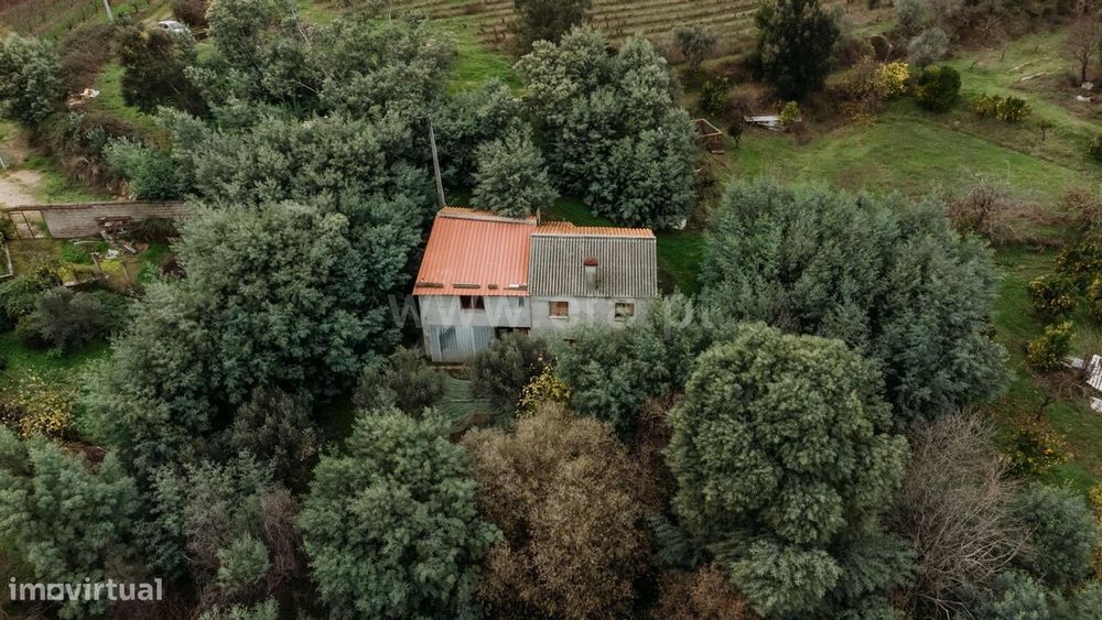 Quinta T1 / Fundão, Vale Prazeres — Vale De Prazeres E Mata Da Rainha, Castelo Branco