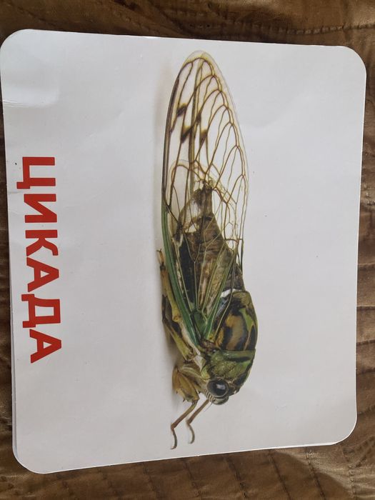 Продам картки домана