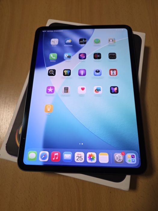 Apple iPad Pro 11 M4 256GB como novo