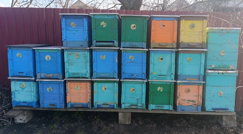 Вулики 8/10 рамок