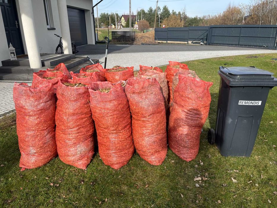 Zrębka trociny do ściółkowania na rabaty ścieżki, świeża, b. ładna