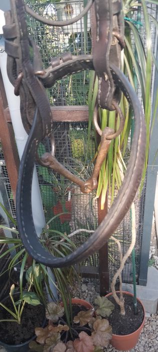 Uzda z prawdziwej skóry, zaprzęg, bryczka