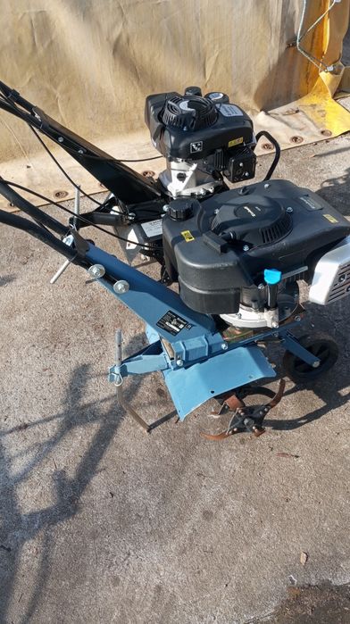 Glebogryzarka ogrodnicza Einhell agria Honda f200