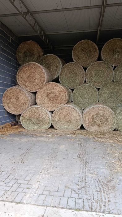 Sprzedam baloty siania