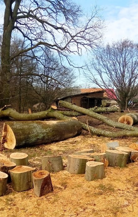 Drewno opałowe kominkowe