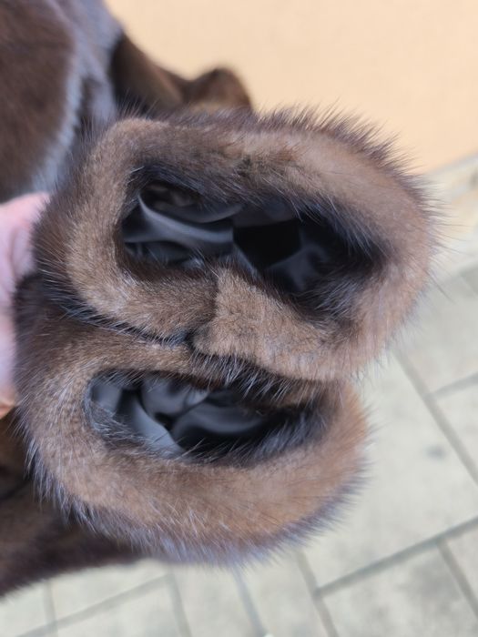 Futerko z norki brązowej