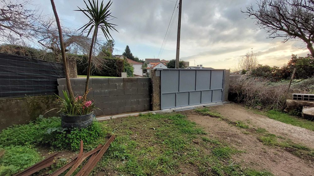 Árvore com orquídea na base em vaso grande.