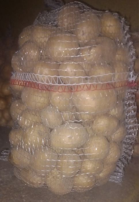 Sprzedam ziemniaki noya
