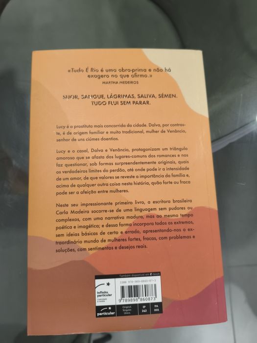 Livro "Tudo é Rio" de Carla Madeira