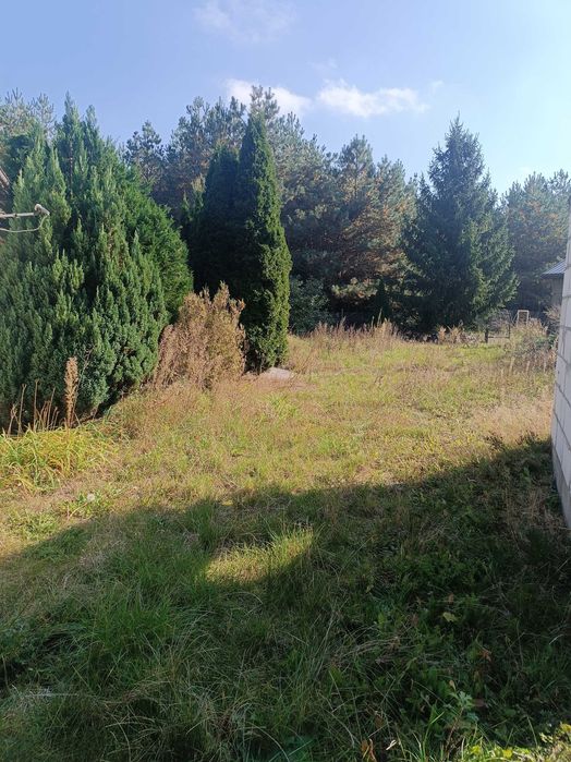 Dom na wynajem