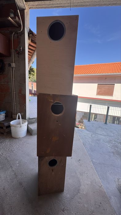 Ninhos para aves de medio porte