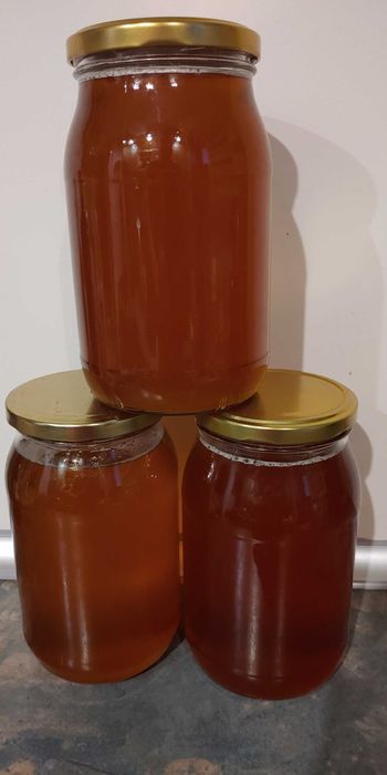 Miód pszczeli z małej pasieki