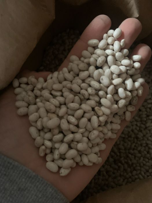 Продам Квасолю Nevi Beans ОПТ! Торг