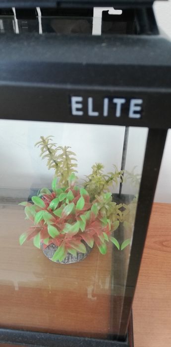 Aquário vidro com acessórios 42x30x22 Elite