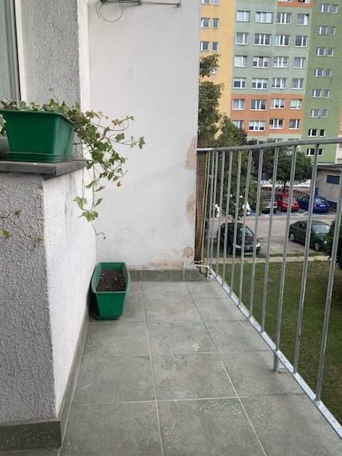 Mieszkanie – Piotrków Trybunalski - Widok 3