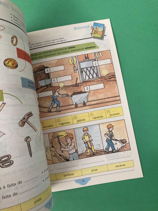 Livro Escola Primária O Bambi Meio Físico e Social 2ª Classe Porto Editora Anos 90