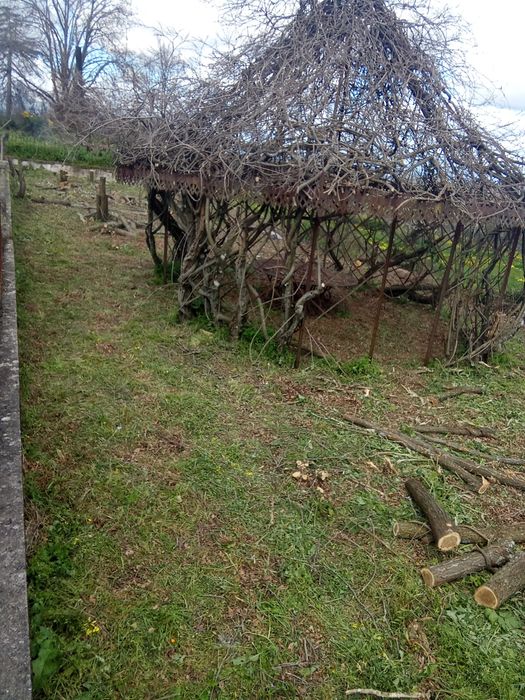 Limpeza de terrenos.