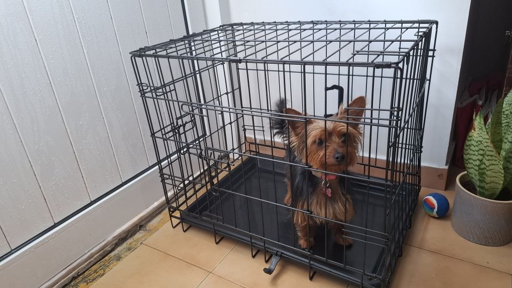 Transportadora metálica para  animais