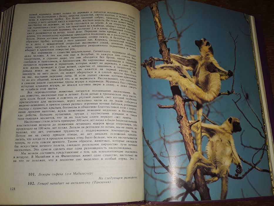 Дэвид Эттенборо "Жизнь на Земле"