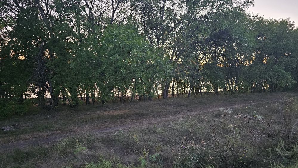 Продам земельну ділянку з фундаментом Черняхівка