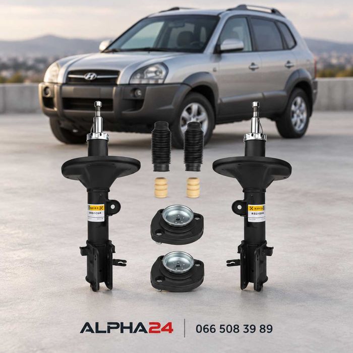 Комплект задніх амортизаторів Tucson Sportage RAISO 314996KIT