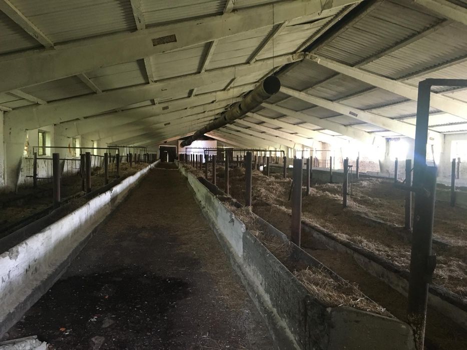 Продам ферму в с. Живачів від Власника, споруди 20,400м2, 16,1га землі