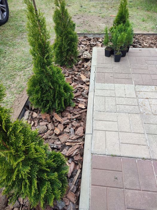 Кора соснова гарної якості та крупної фракції. Дубова кора. Доставка.