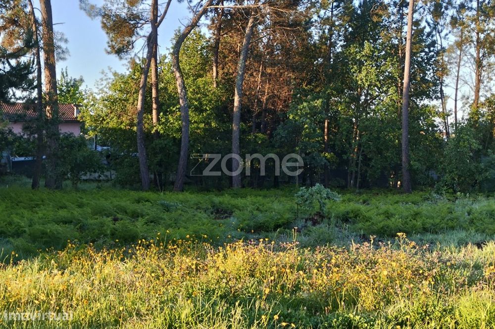 Terreno Urbanizável Vila Chã de Sá