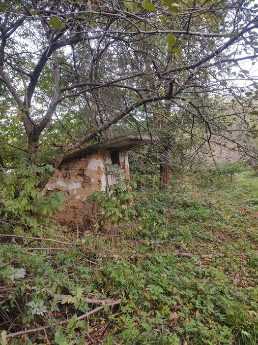 Продаж будинку з землею і садом