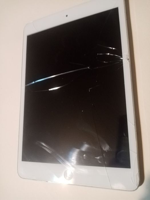 Aipad mini лот бу