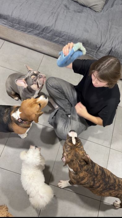 Перетримка | Готель та садок для собак HilDog | Київ