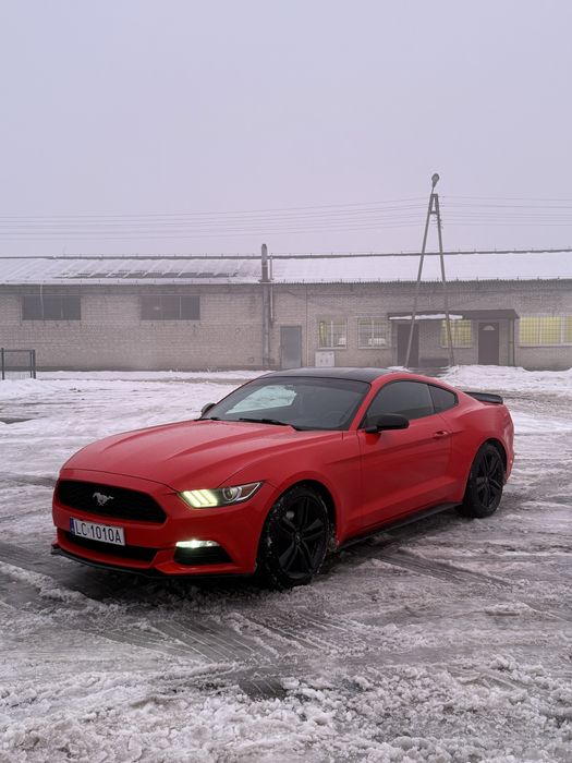 Auto do ślubu Ford mustang lubelskie auto na ślub