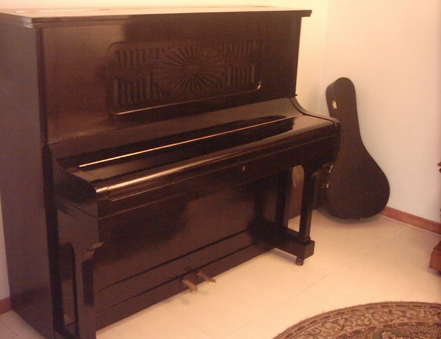 Pianos verticais e de cauda afinador e arranjo