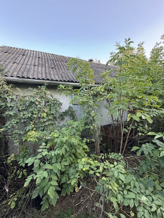 Продам будинок в с. Тернівка