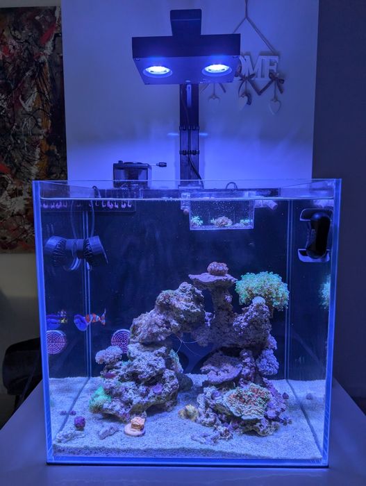 Vendo aquário reef de água salgada completo