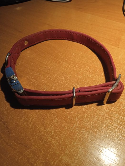 Нашийник для собак Hunter