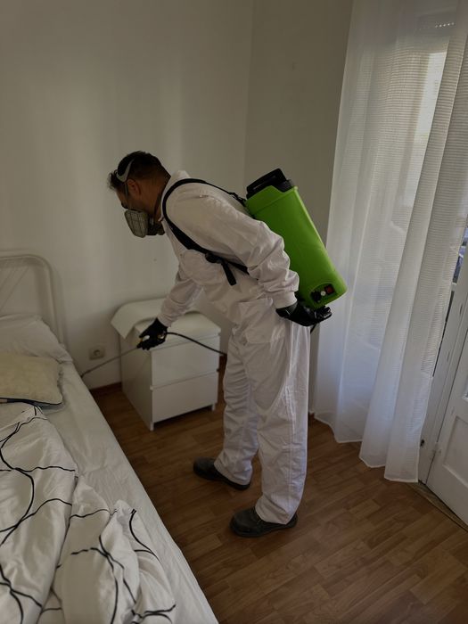Desinfestacao PERCEVEJOS PULGAS RATOS BARATAS TERMITAS