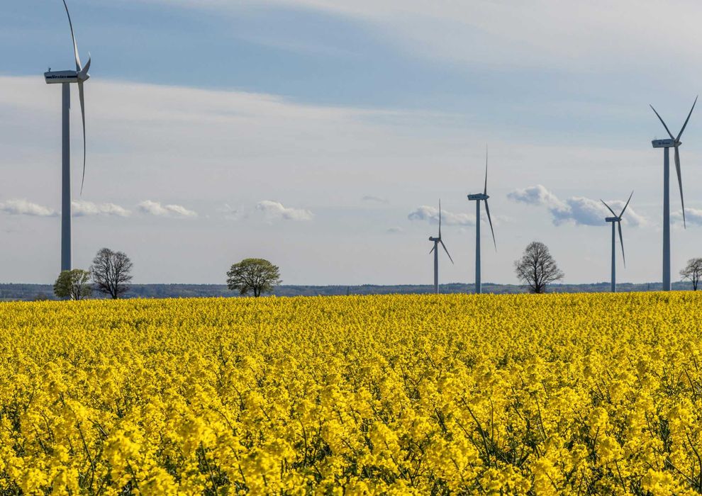 Wydzierżawimy gruntu pod farmy wiatrowe