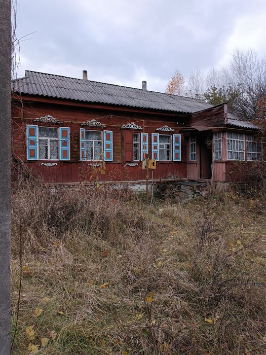Будинок в с. Табаєвка