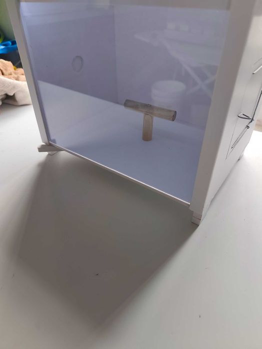 Estúdio fotográfico para Aves