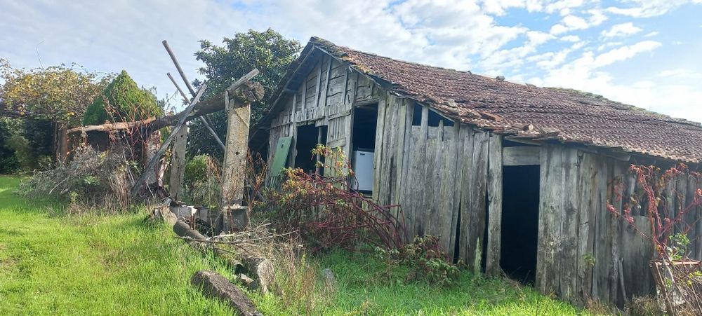 Quinta com casa habitação em Sabugosa-Tondela Tondela