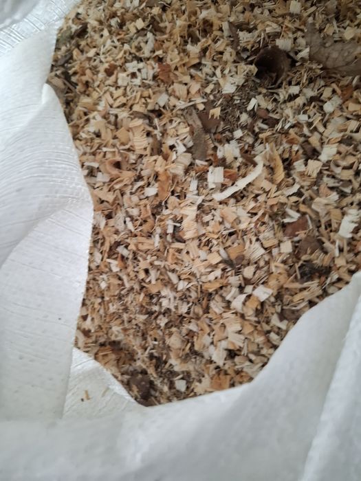 Trociny dębowe suche grube worek 100l