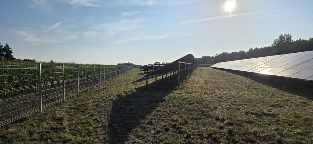 Koszenie farm fotowoltaicznych