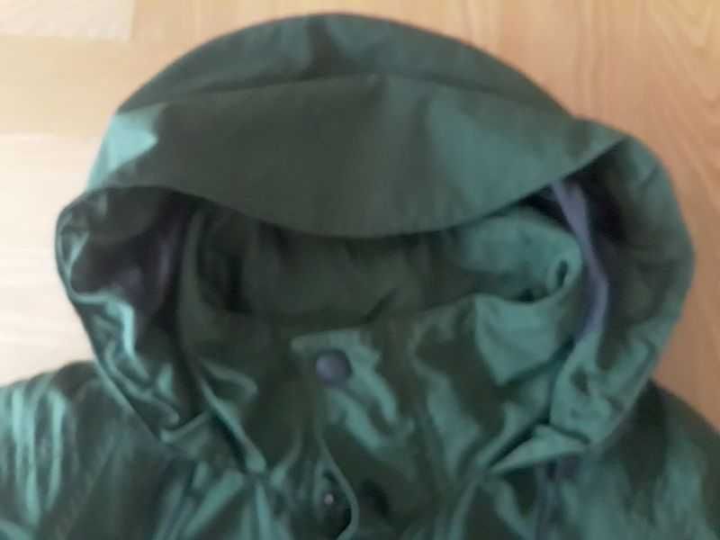 Kurtka GORE-TEX alpinus