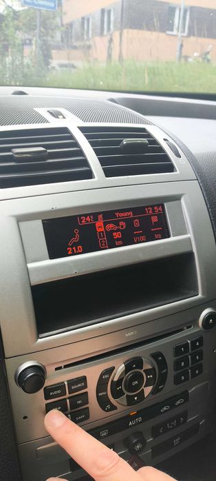 Monitor radia Peugeot 407