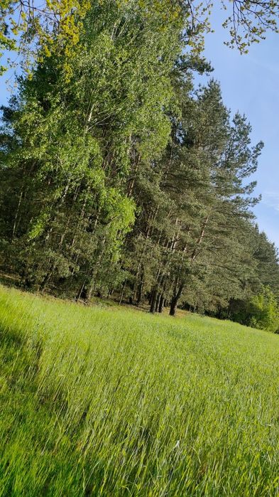 Działka na sprzedaż bez pośredników 3,8ha