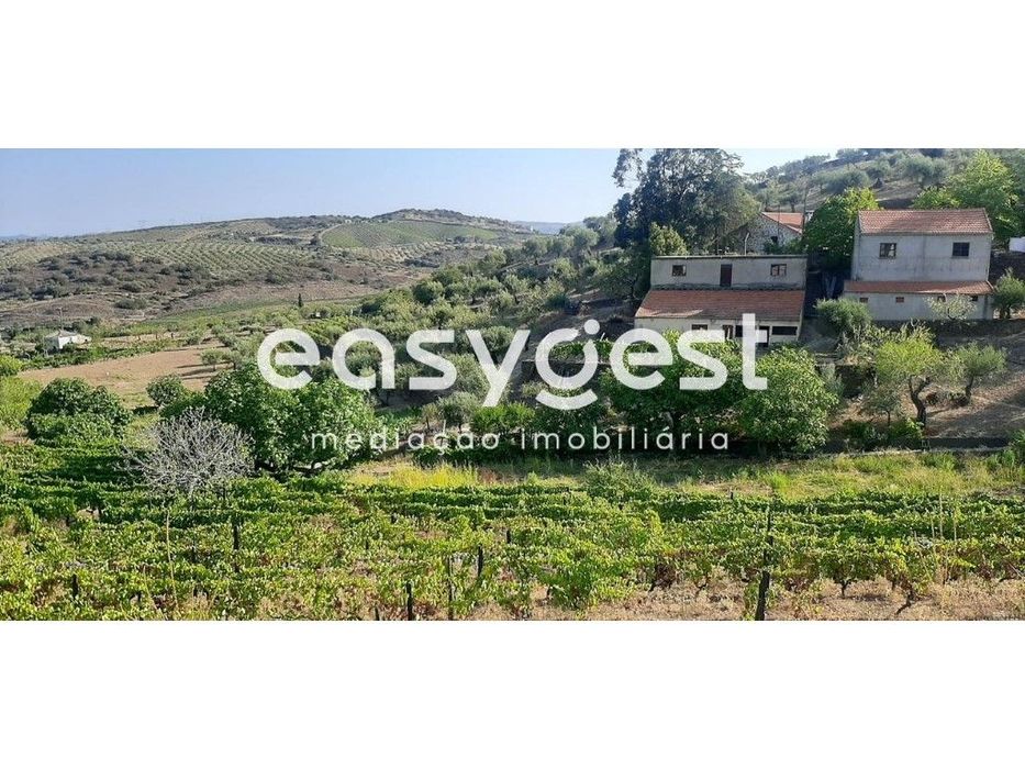 Magnífica Quinta em Torre de Moncorvo, Quinta Pomar de Baixo.