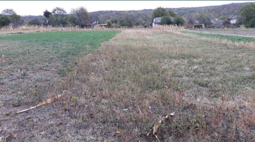 Дом с участком в с.Борозенка Роменского района.