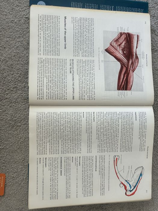 Livro Cunningham’s Textbook of Anatomy
